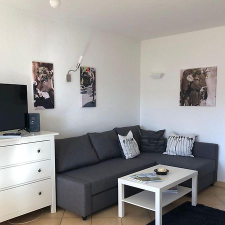 מיסן-וילהאמס Ferienwohnung Aigisblick Mit Pool Und Sauna, Direkt Am Skihang מראה חיצוני תמונה
