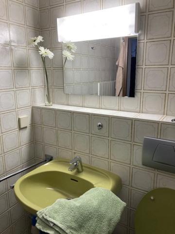 מיסן-וילהאמס Ferienwohnung Aigisblick Mit Pool Und Sauna, Direkt Am Skihang מראה חיצוני תמונה